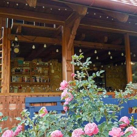 Bed and Breakfast Rose Hip Hill Farm Valea Tirnei Экстерьер фото