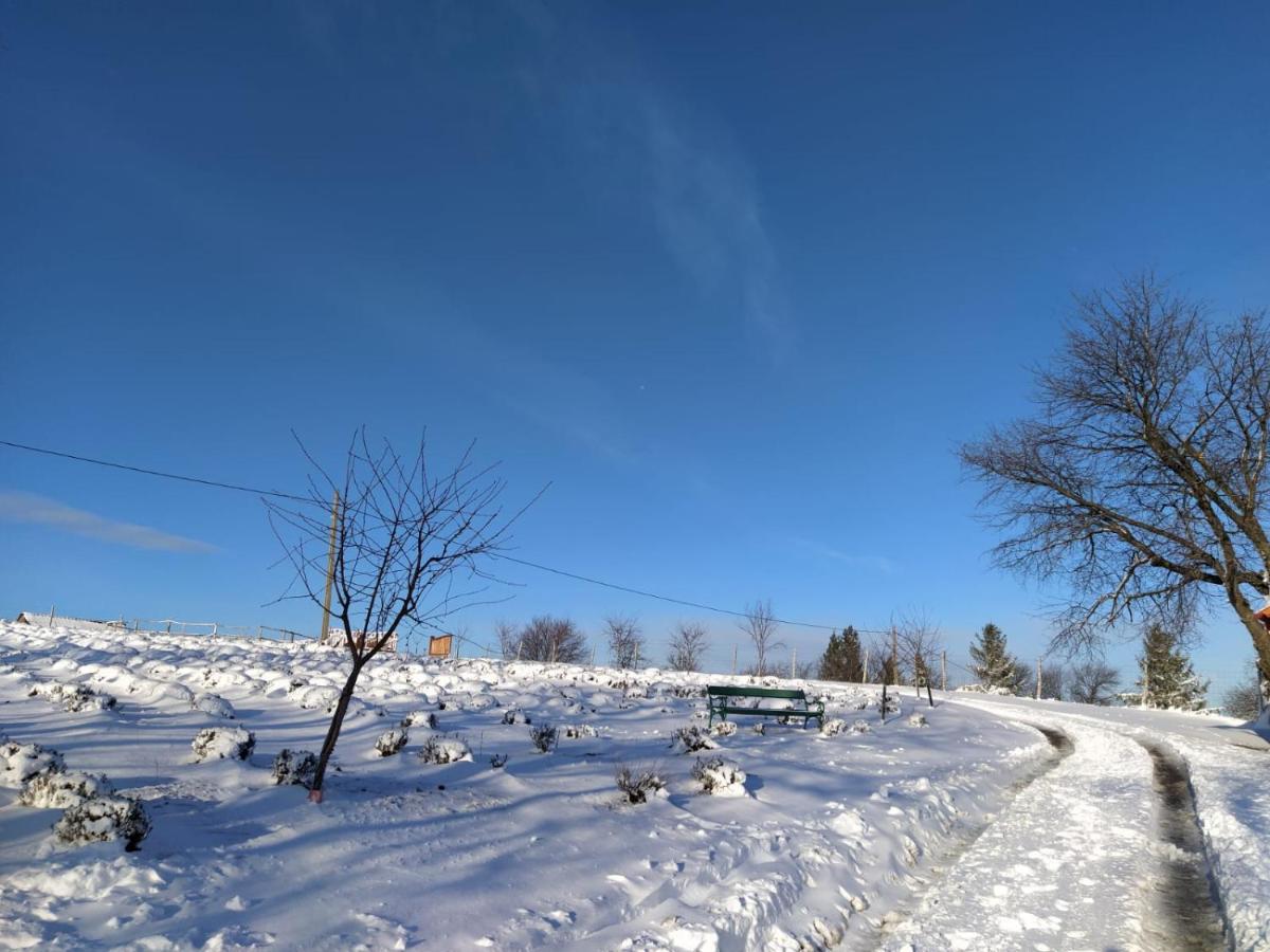 Bed and Breakfast Rose Hip Hill Farm Valea Tirnei Экстерьер фото