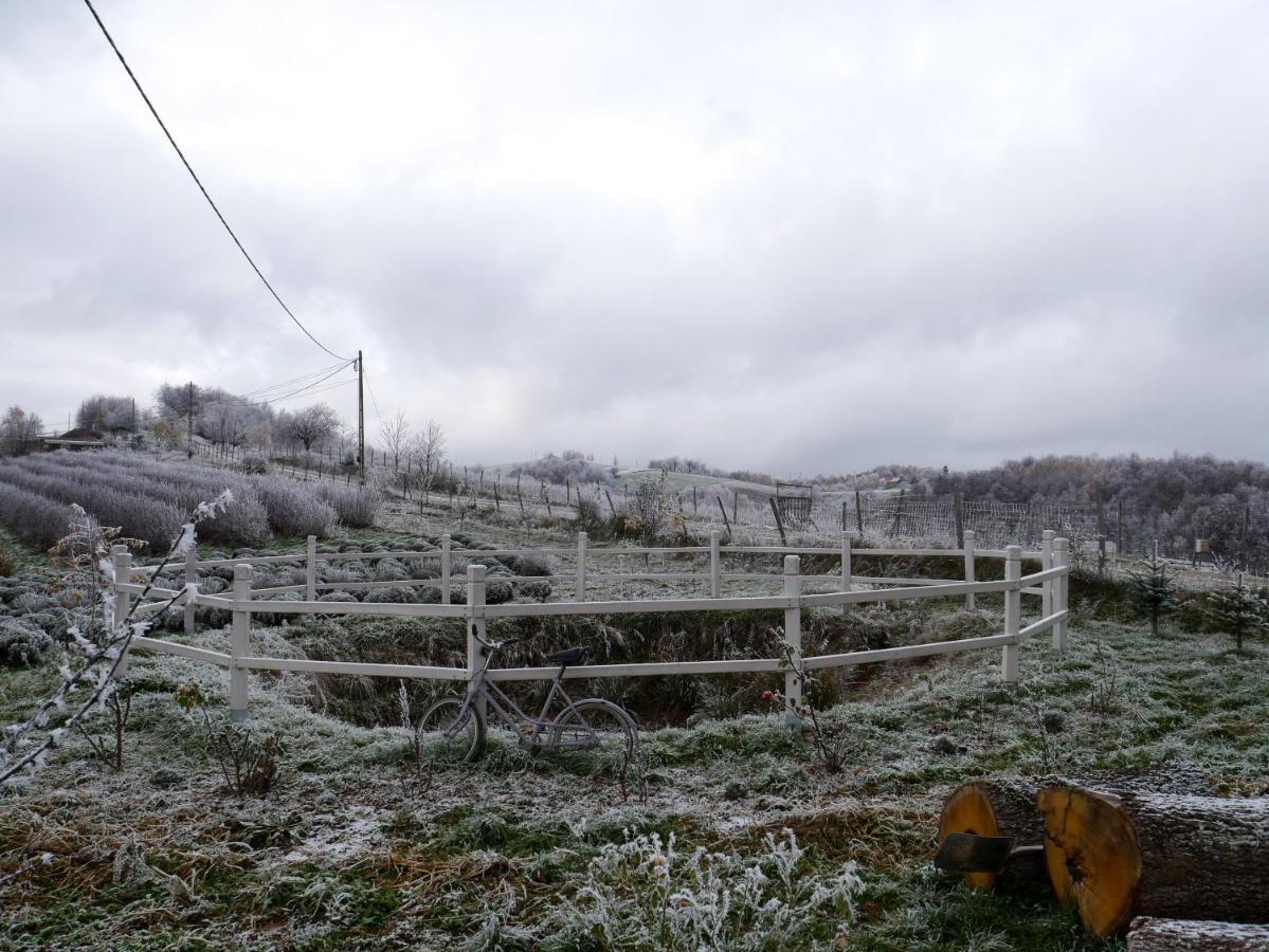 Bed and Breakfast Rose Hip Hill Farm Valea Tirnei Экстерьер фото