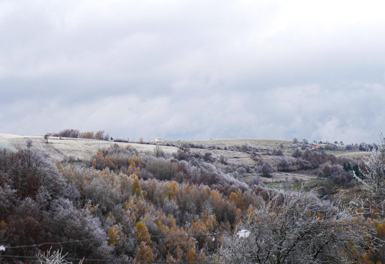 Bed and Breakfast Rose Hip Hill Farm Valea Tirnei Экстерьер фото