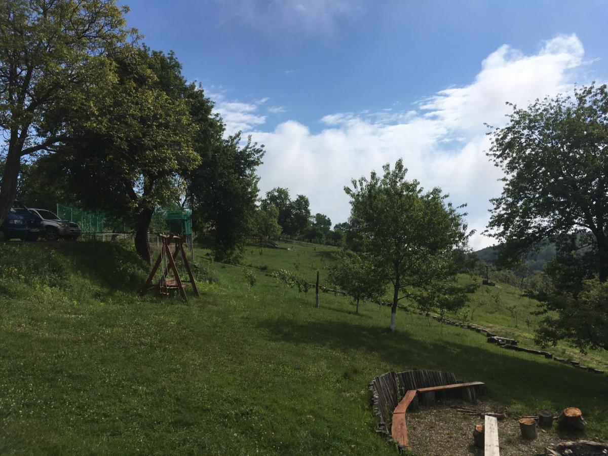 Bed and Breakfast Rose Hip Hill Farm Valea Tirnei Экстерьер фото